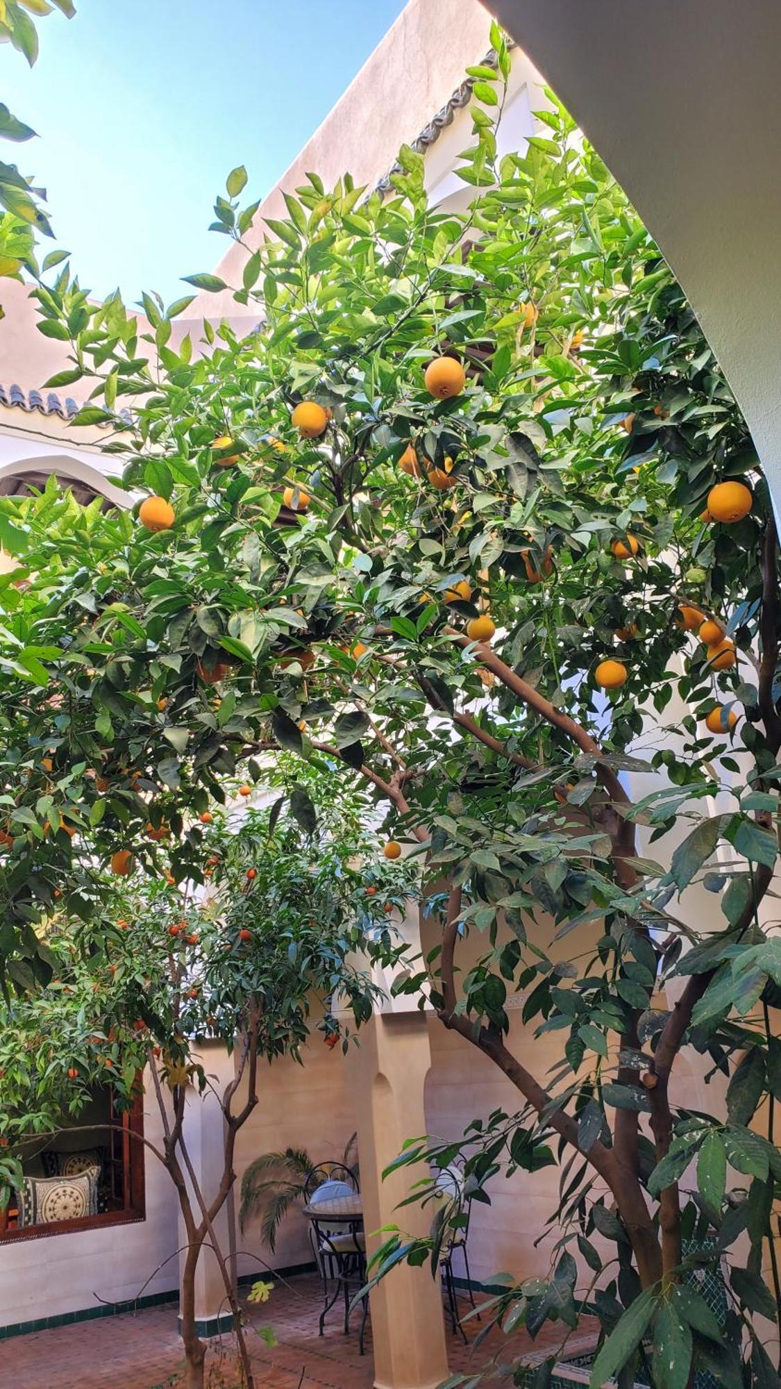 Riad Tidar By Phoenix Marrakesh Exterior photo