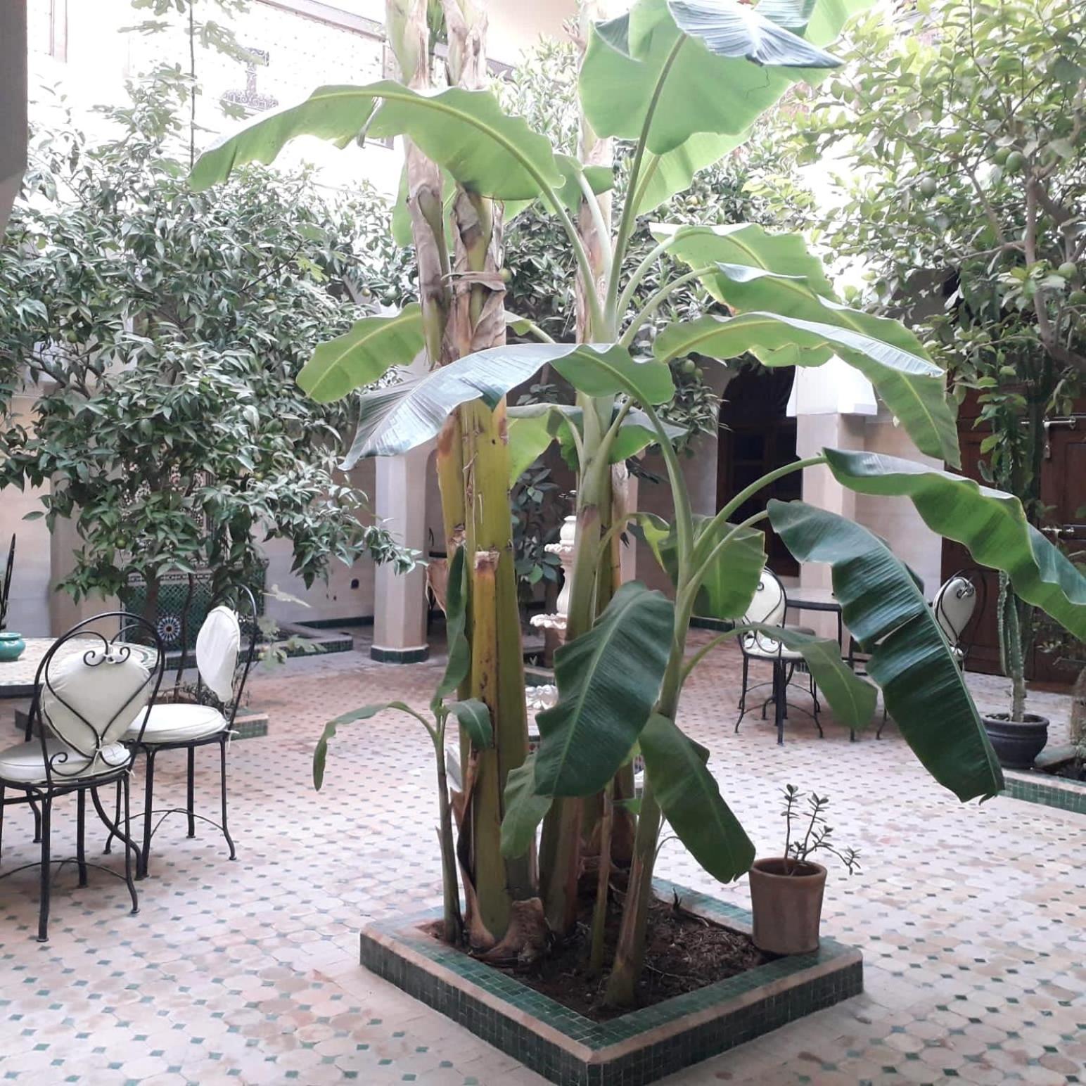 Riad Tidar By Phoenix Marrakesh Exterior photo